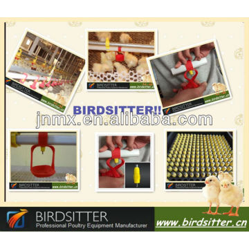 Hot sale modern automatic breeder feeding equipment